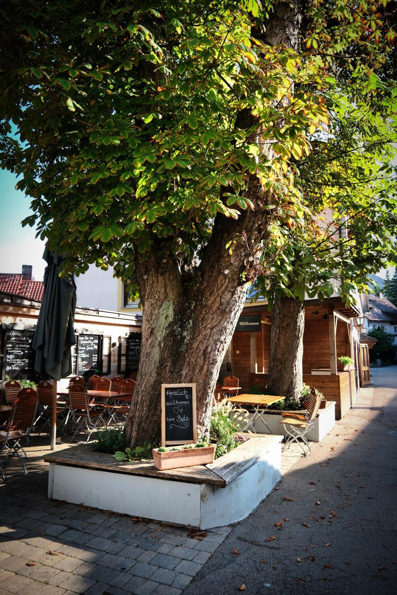 Hotel "Beim Butz" Worth an der Donau Exterior foto